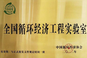 4008云顶集团(国际)股份有限公司